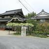 墨池山 清瀧寺の藤の花