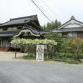 墨池山 清瀧寺の藤の花