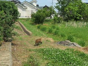akahori25.jpg