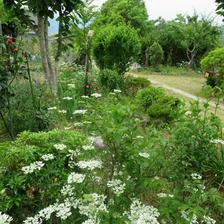 飯岡花めぐり「YU~KA GARDEN」（美咲町）