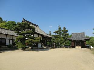 kokubunji16.jpg