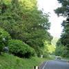 大山アジサイロード(湯郷)