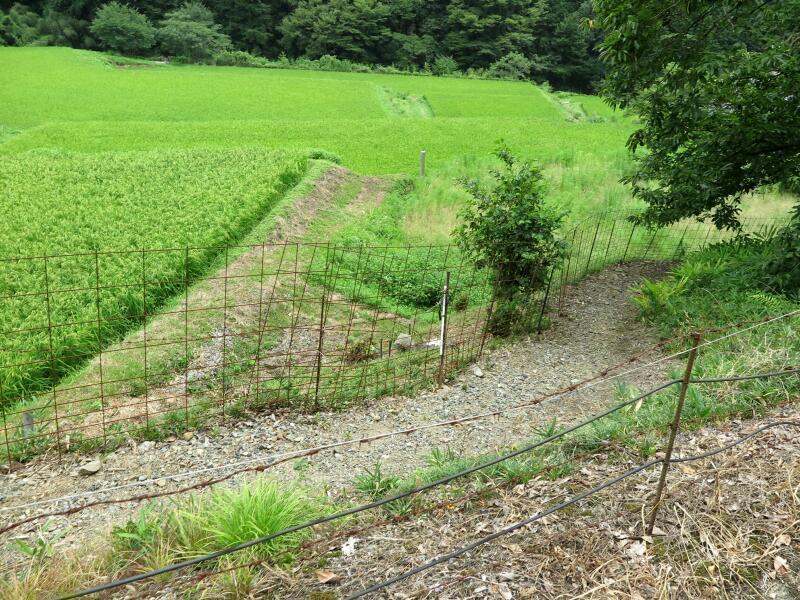 津山瓦版岸田吟香生誕の地と岸田家墓地（美咲町）