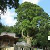 二上山 両山寺(美咲町)