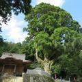 二上山　両山寺（美咲町）