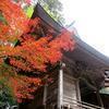 2019 天石門別(あめのいわとわけ)神社の紅葉
