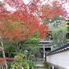 第25回 花の山寺 桜と紅葉まつり