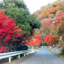 2019 津川ダム湖周辺の紅葉