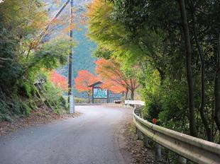 inaba-tsugawa22.jpg