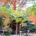 黒見山 寶聚院 観音寺（美作市）