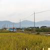 令和元年の田熊八幡神社の秋祭り