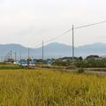 令和元年の田熊八幡神社の秋祭り