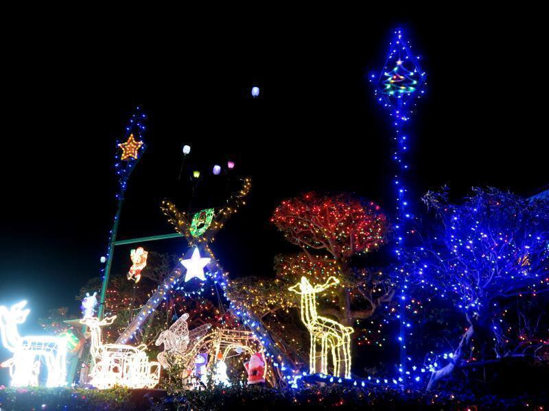 2019 小田中のイルミネーション - 津山瓦版