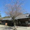 中山神社で咲く3月の花たち