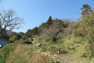 mimasaka-syoya2-7.jpg