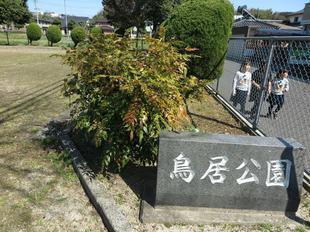 torii-koen3.jpg