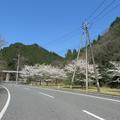 津山市内～加茂～阿波の4月の景色