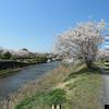 ほたる公園(上野田)