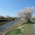 ほたる公園（上野田）