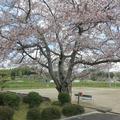 大井東コミュニティ公園（宮部下）