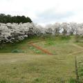 倭文ふれあい公園（桑上）