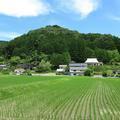 仲仙道城山（宮部上）