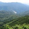 大ヶ山(阿波西谷)