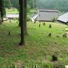 物見に伝わる千利休の伝説