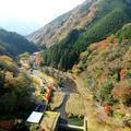 津川ダム周辺の秋の風景がメチャ綺麗！