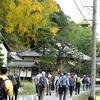 出雲街道を歩こう会「坪井宿」