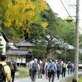 出雲街道を歩こう会「坪井宿」