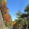 黒木ダム周辺の紅葉
