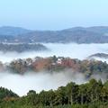 天空の山城「備中松山城」の雲海