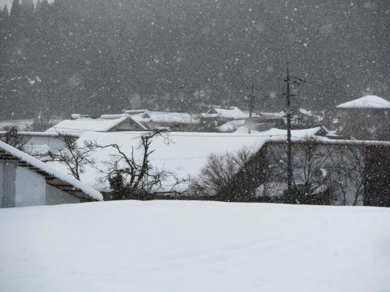 2020-12-19aba23-thumb-645xauto