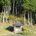 早栃阿弥陀堂と大高下大師堂(加茂郷88ヶ所霊場)