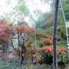 神楽尾公園でお散歩(総社)