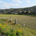 道しるべ・材木供養塔・一畑薬師（久米川南）