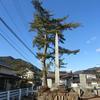 方谷山田先生遺蹟碑(方谷園)