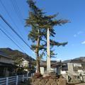 方谷山田先生遺蹟碑(方谷園)(新見市)