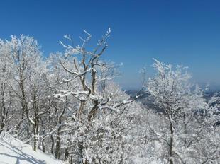 kenashiyama-fuyu25.jpg