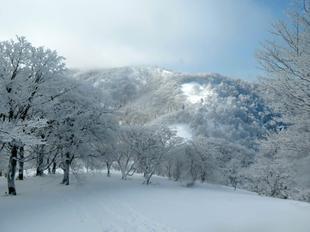 kenashiyama-fuyu5.jpg