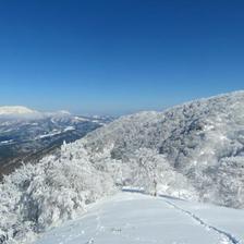 冬の西毛無山（けなしやま）の樹氷