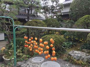 suezawa-11.jpg