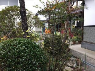 suezawa-3.jpg