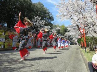 2021-3-27sakura-open12.jpg