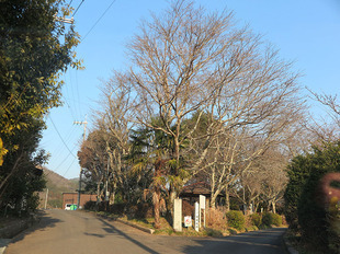 meishinkan10.jpg