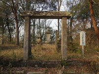 shiroyama-2-39.jpg