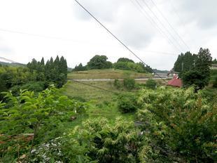 2021-6-15daigozakura1.jpg