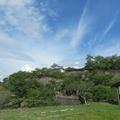 津山城（鶴山公園）のフジの花