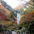 2021 神庭の滝の紅葉（真庭市）